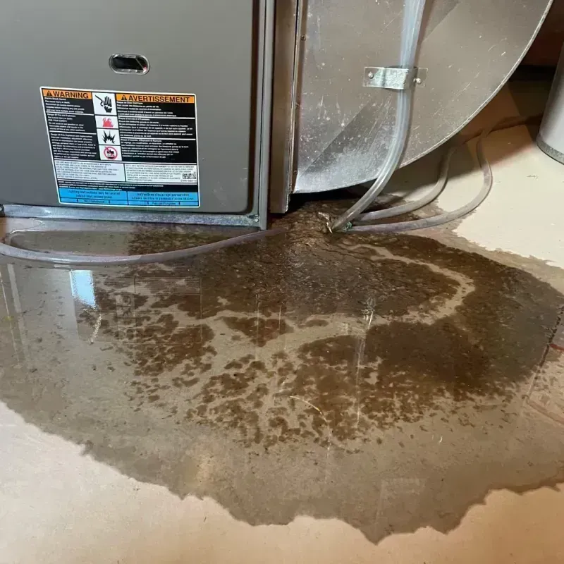 Appliance Leak Cleanup in West End-Cobb Town, AL